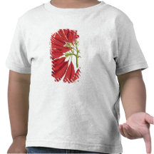 Poinsettia Pulcherrima (colour litho) Shirts