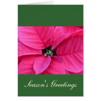 Poinsettia Season's Greeting Cards