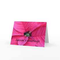 Poinsettia Season's Greeting Cards