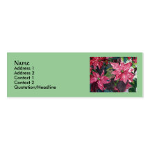 Poinsettia Slim Business Cards