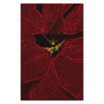 Poinsettia Stationery