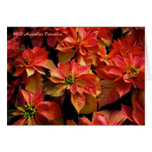 Poinsettias Greeting Card