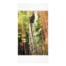 Point of View Picture Card