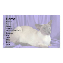 Point siamois et bleu modèle de carte de visite