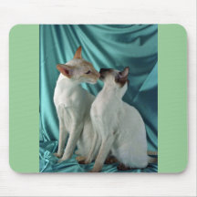 Point siamois et rouge et point de joint tapis de souris