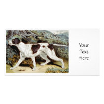 Pointer Dog Water colour