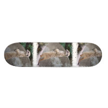 Poised Meerkat Skateboard