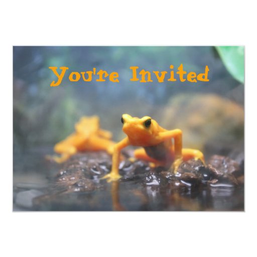 Frog Pocket - You're The One For Me Frog Pocket - You're The One For Me