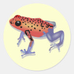Poison Dart Frog Round Sticker