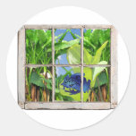 Poison Dart Frog Stickers