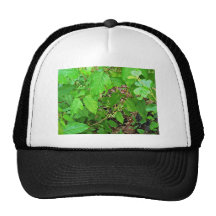 Poison ivy with flowers mesh hats