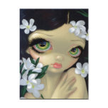 "Poisonous Beauties II: White Oleander" Postcard