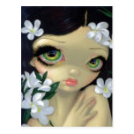 "Poisonous Beauties II: White Oleander" Postcard