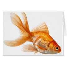 Poisson rouge de fantaisie carte de vœux