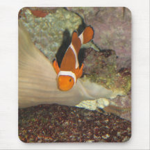 Poissons 1 de clown d'aquarium tapis de souris