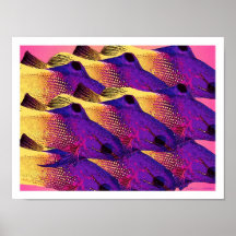 'Poissons 6,2' Posters