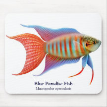 Poissons bleus Mousepad de paradis Tapis De Souris