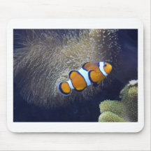poissons de clown, 2 tapis de souris