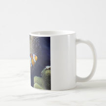 poissons de clown, 2 tasse