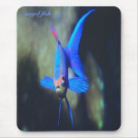 poissons de Lumineux-bleu-ange, mousepad Tapis De Souris