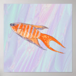 Poissons de paradis posters