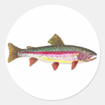 Poissons de truite arc-en-ciel adhésif
