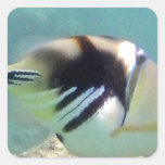 Poissons d'état d'Hawaï - Humuhumunukunukuapua'a Autocollants