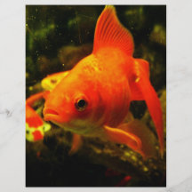 Poissons d'or prospectus personnalisés