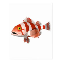 Poissons rouges de Stripey Carte Postale