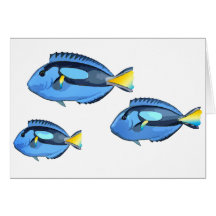 Poissons tropicaux bleus et jaunes carte de vœux