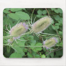Pokey Flowers Mouse Mats