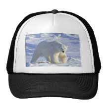 POLAR BEAR 1 HAT