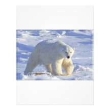 POLAR BEAR 1 LETTERHEAD DESIGN