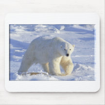 POLAR BEAR 1 MOUSEPAD