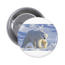 POLAR BEAR 1 PINBACK BUTTONS