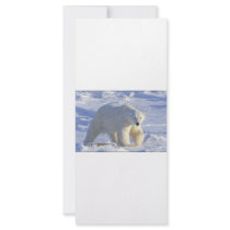 POLAR BEAR 1 CUSTOM RACK CARD