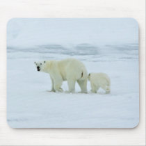 Polar Bear and Cub Mouse Pads
