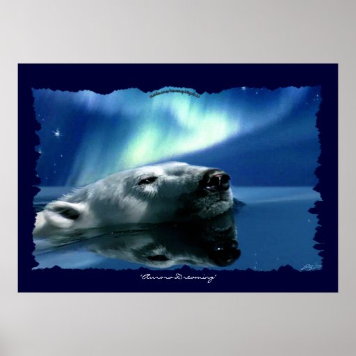 Polar Bear Arctic Wildlife Art Poster