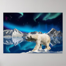 Polar Bear & Aurora Borealis 3 Wildlife Art Poster