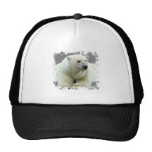 Polar Bear Baseball Hat