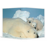 Polar Bear Binder