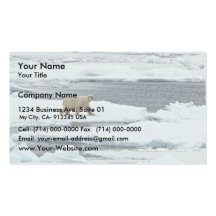 Polar Bear Business Card