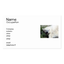 Polar Bear Business Cards