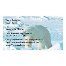 Polar Bear Business Cards
