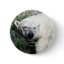 Polar Bear Button