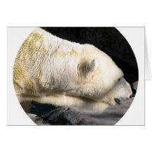Polar Bear Card
