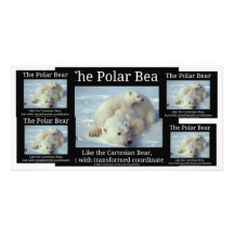 Polar Bear Cartesian Bear Photo Card Template