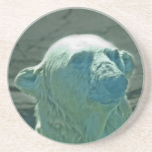 Polar Bear Coaster