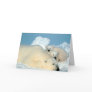 Polar Bear & Cubs by Steve Amstrup Card