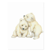 Polar Bear Cubs Post Cards